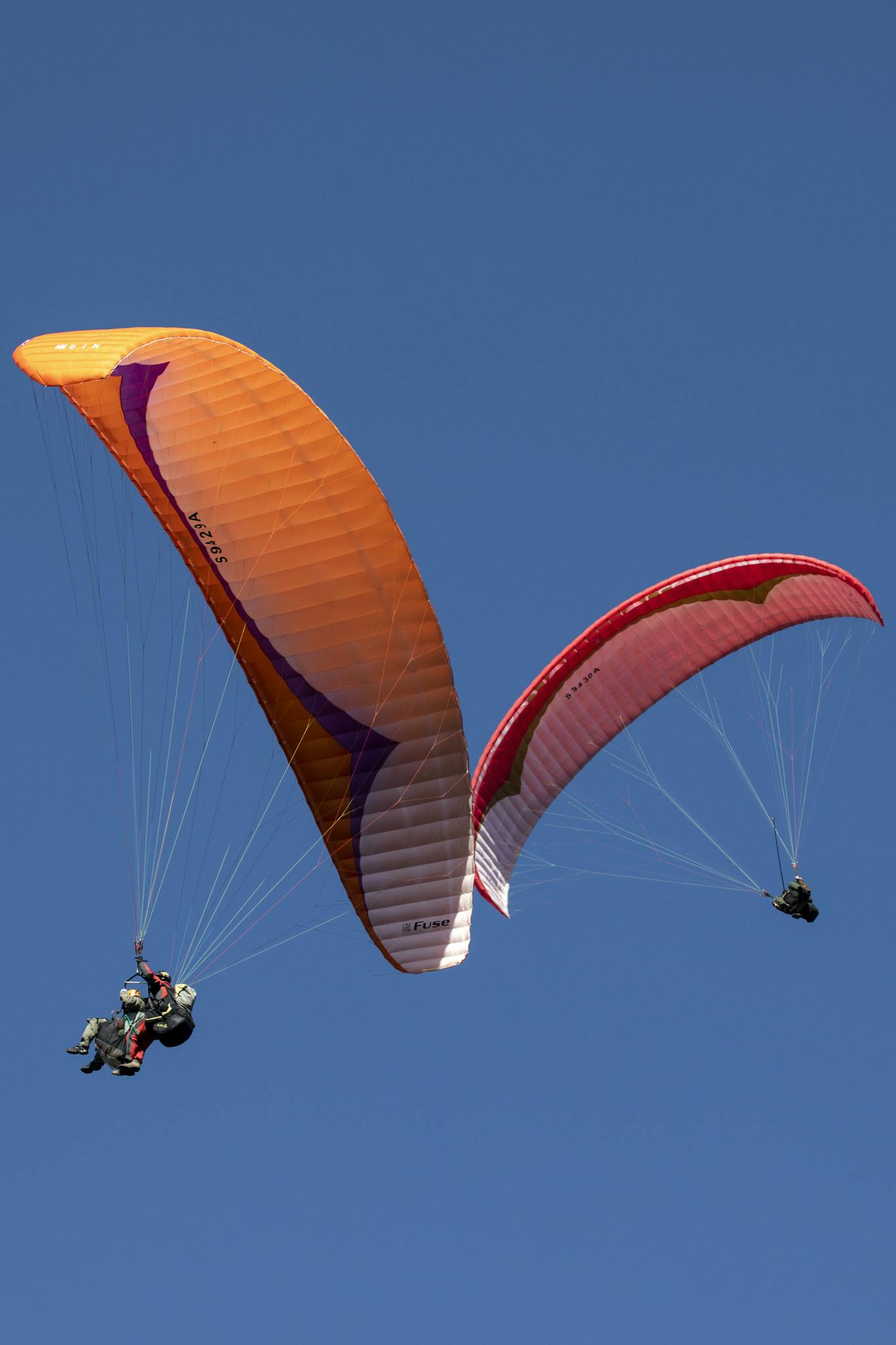 Two paragliders flying high above Danyang-gun under a clear blue sky.